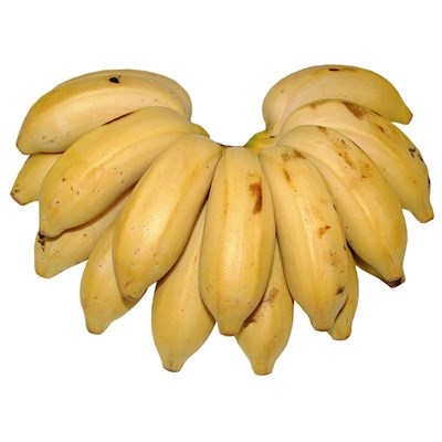 foto produto