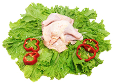 foto produto